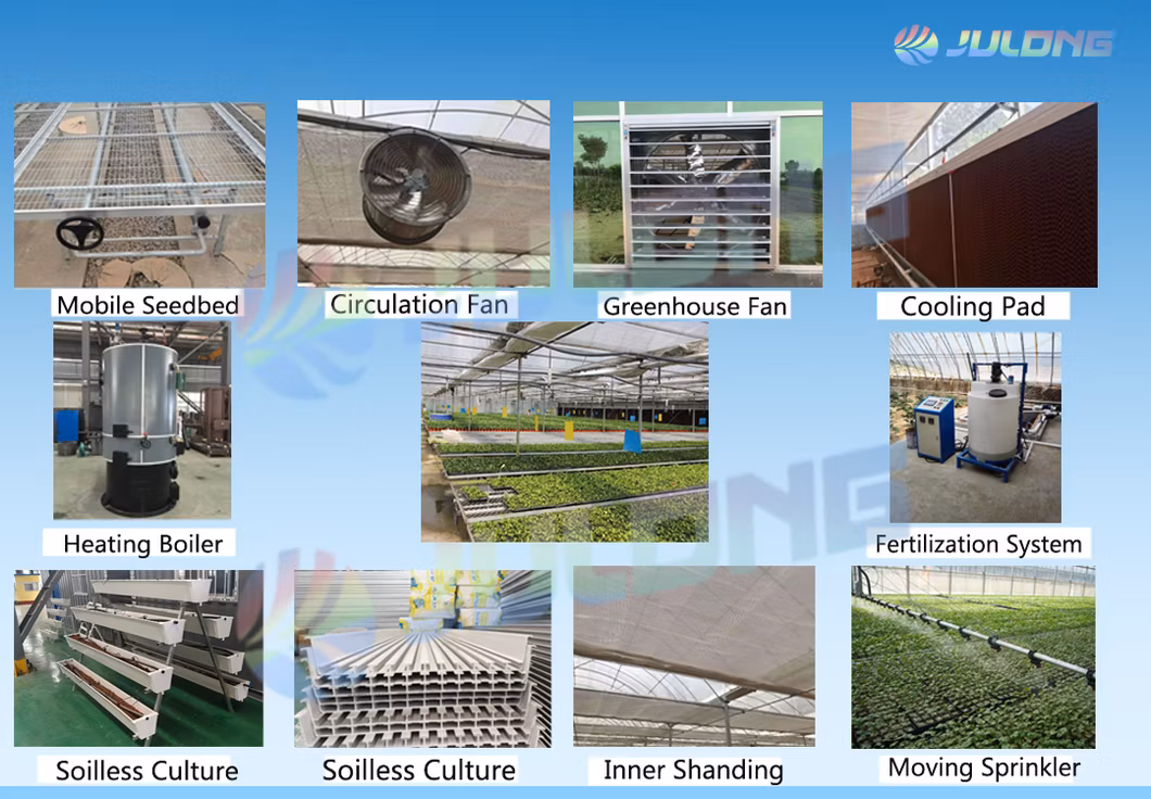 Fish and Vegetable Co-Existing System Agricultural Aquaponics Greenhouse