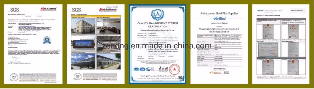 Easy Installation Solar Film Sunlight Air Insulation Wall Greenhouses Oval Tube Greenhouse with Quilt for Middle Asia Uz/Kz/Tkm Cold Area Agriculture Vegetables