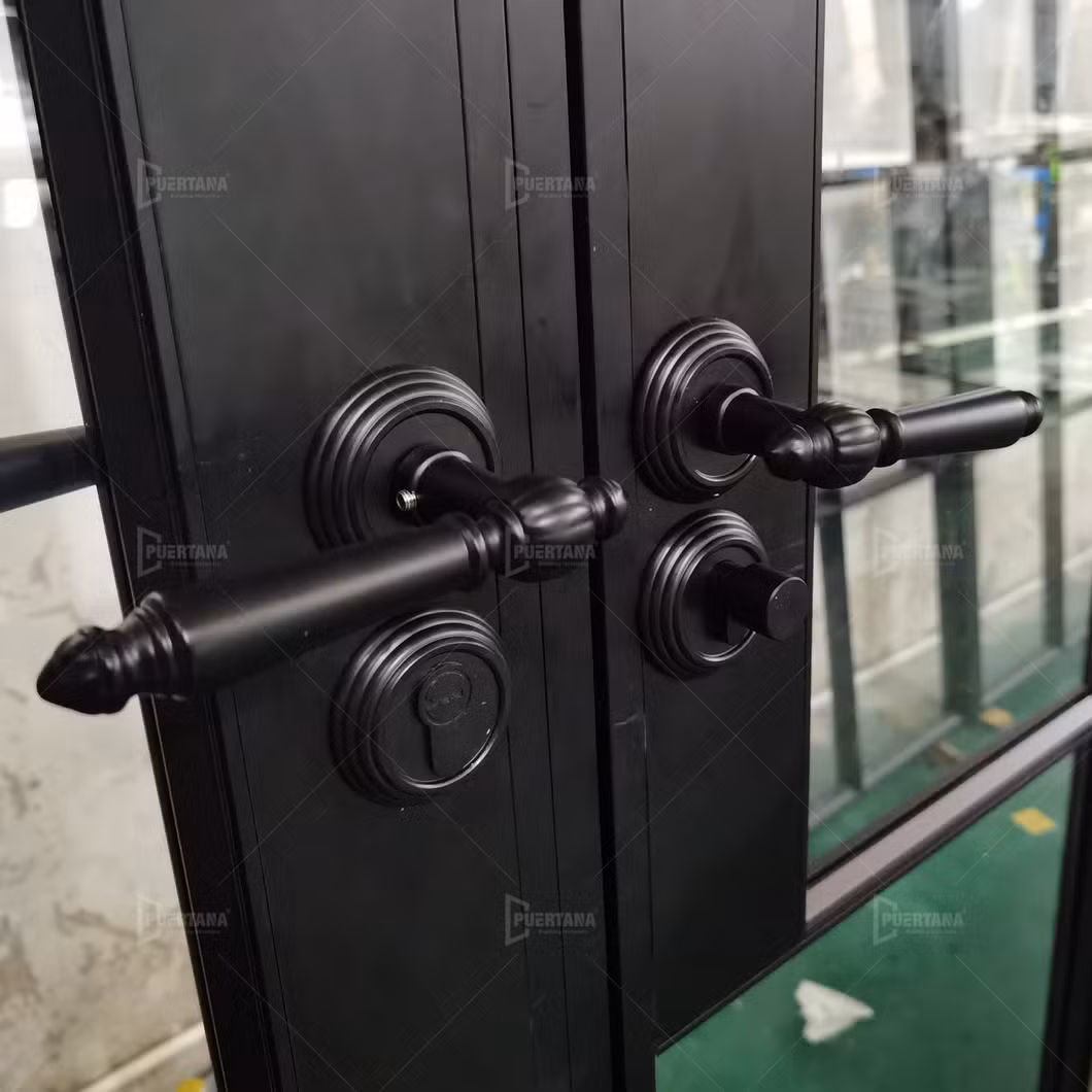 Modern Apartment House Internal Black Industrial Studio Clear Glass Door Aluminium Double Interior Metal French Glass Doors