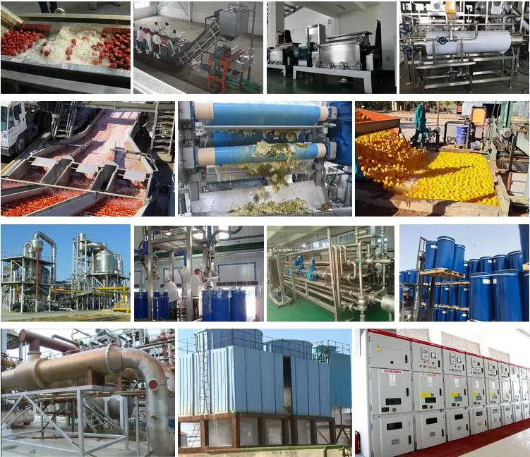 1000kg High Profit Eccnomic Diversity of Dried Tropical Fruits/ Tropical Fruits Powder Production Line and Making Machines