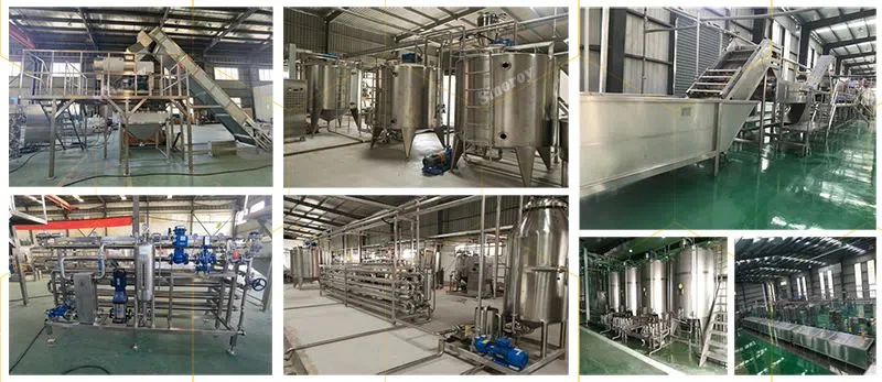 Kiwi Puree Processing Line Washing Sorting Crushing Pulping Enzymolysis Homogenizing Strilizing Packaging System