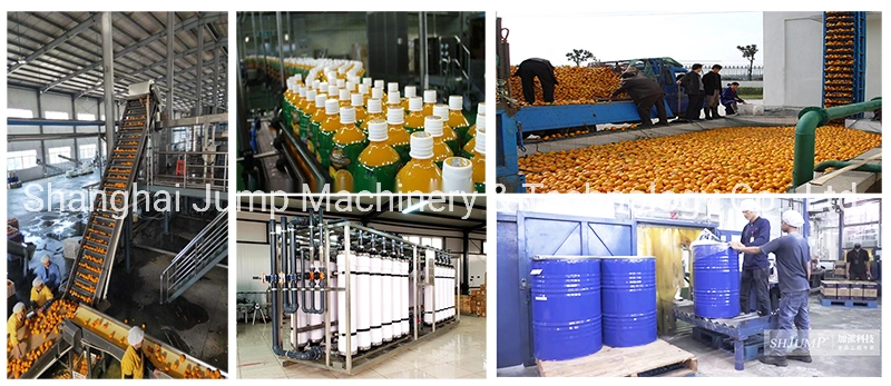 Marmalade Processing Line Commercial Factory Orange Jam Cooking and Filling Machines