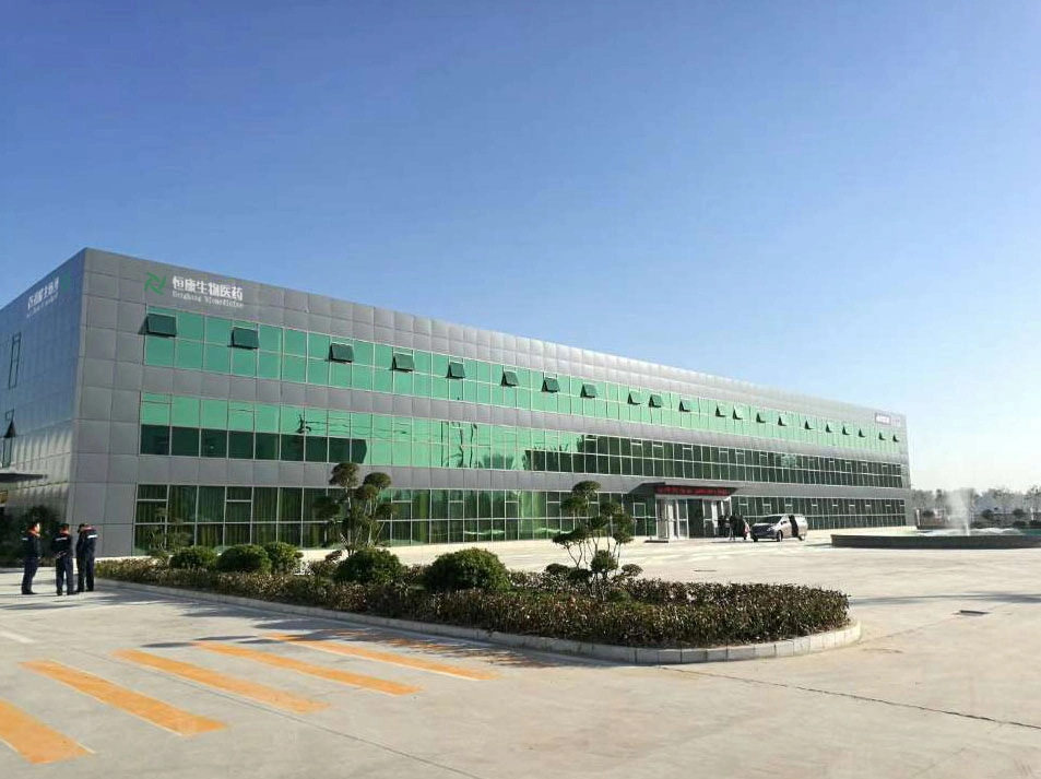 Factory Supplement High Quality Wholesale Green Apple Powder Free Sample