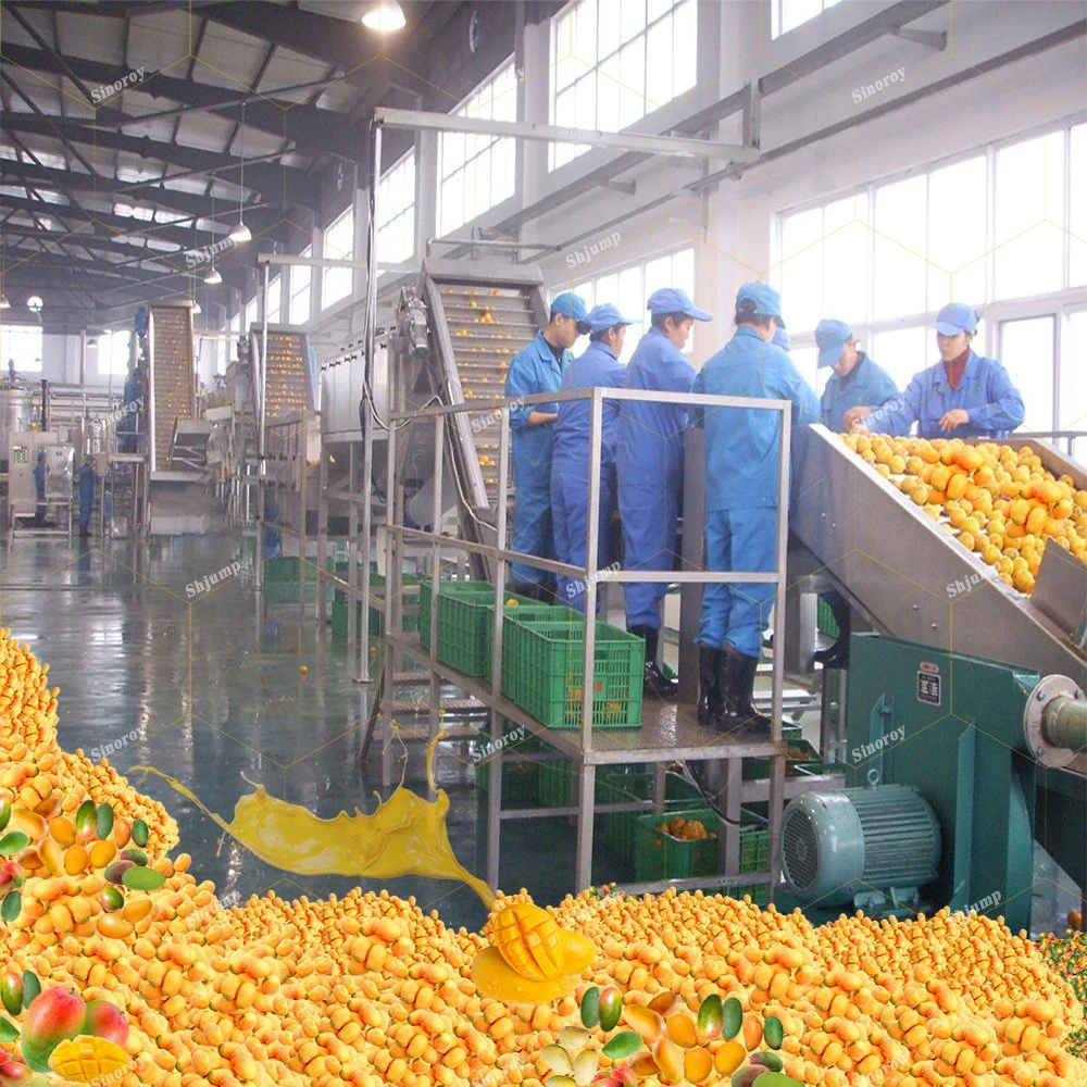 Middle Scale Automatic Mango Pulp Puree Production Line/Mango Jam Processing Plant and Making Machines