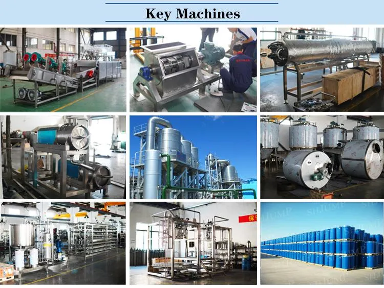 Apple Candy Good Taste Fruit Leather Processing Line Pulping Machine Scrapping and Drying Machine