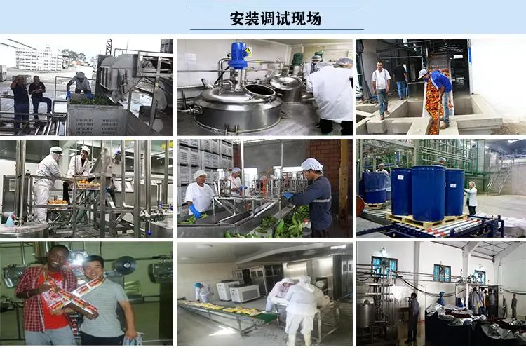 Middle Scale Automatic Mango Pulp Puree Production Line/Mango Jam Processing Plant and Making Machines