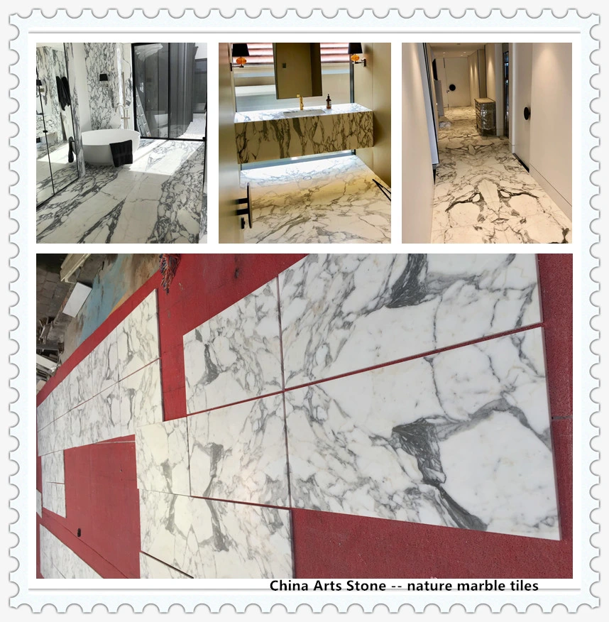 Top Quality Bianco Ariston White Marble Slab for Project Tiles