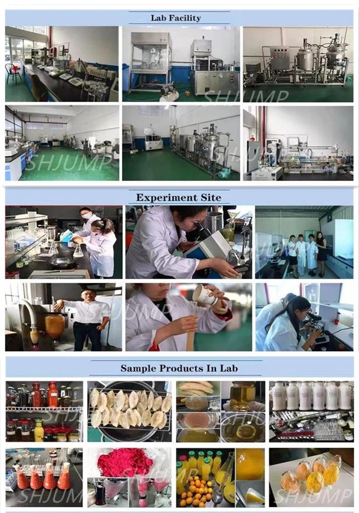 Middle Scale Automatic Mango Pulp Puree Production Line/Mango Jam Processing Plant and Making Machines