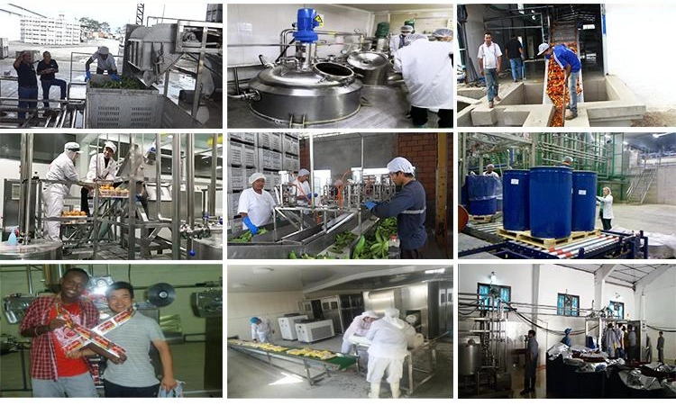 Apple Candy Good Taste Fruit Leather Processing Line Pulping Machine Scrapping and Drying Machine