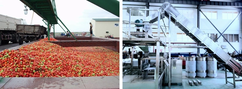 Strawberry Jam/Marmalade Production Processing Machinery