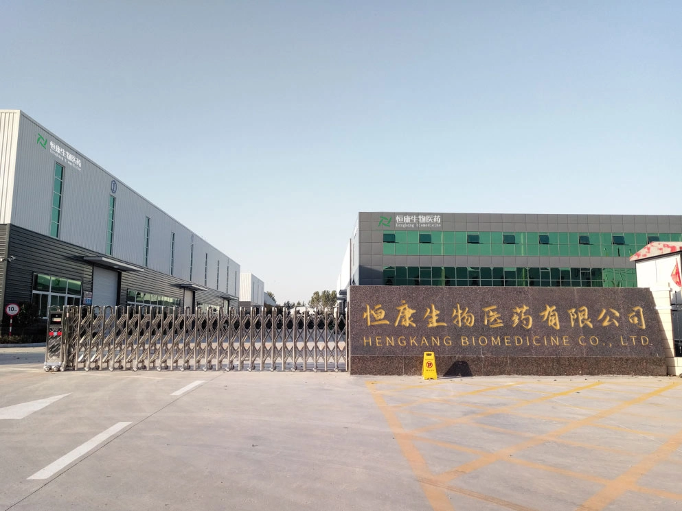 Factory Supplement High Quality Wholesale Green Apple Powder Free Sample