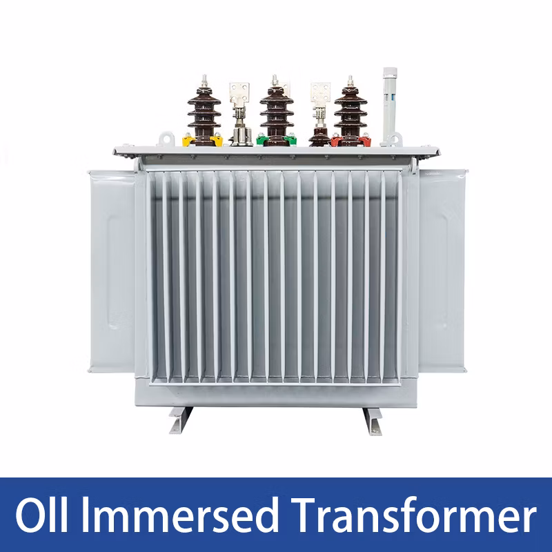 30-100kVA Cast Resin and Amorphous Alloy Dry Type Electrical Power Transformer Manufacturer