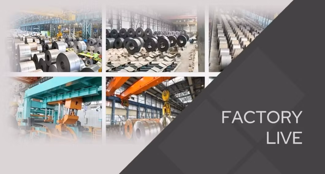 CRGO Silicon Steel Transformer Cold-Rolled Coil 30r120 Electrical Oriented Silicon