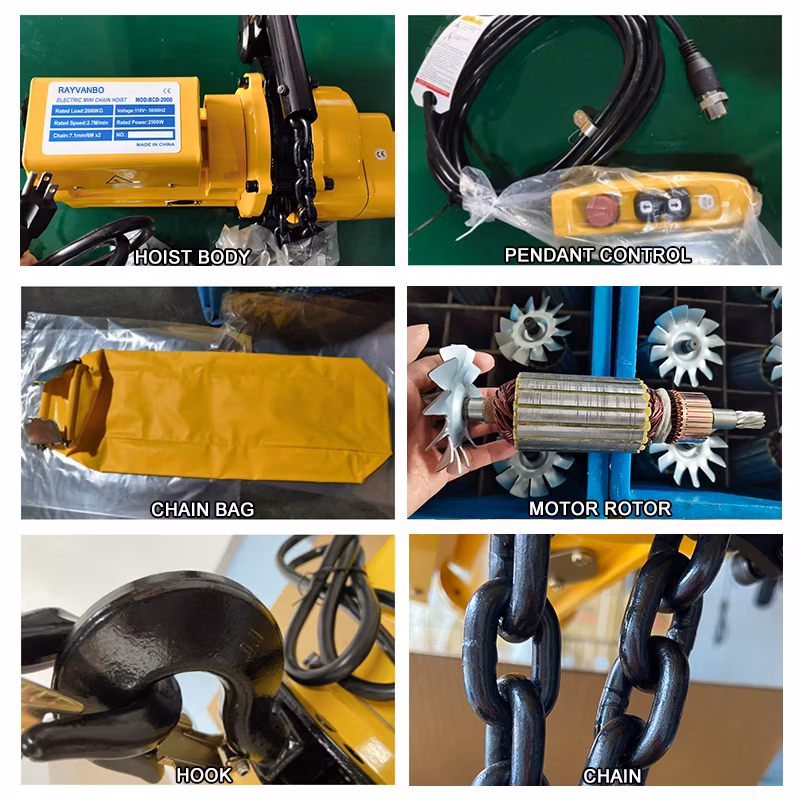 Fast Lift Speed Mini Type 110V 220V-240V Lifting Equipment Crane Single Phase Chain Electric Hoist with Wholesale Price