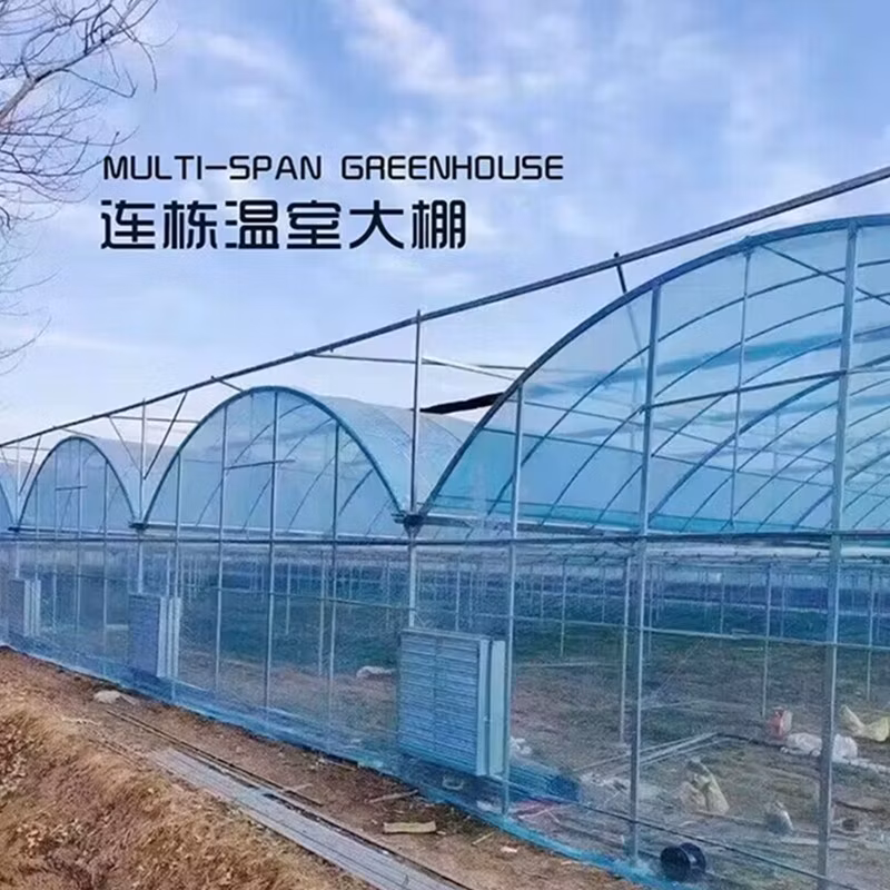 LED Board Best Selling Meijiu Qb288 V3 240W Red LED Grow Lights Samsung Lm301b Lm301h with IR 660nm LEDs