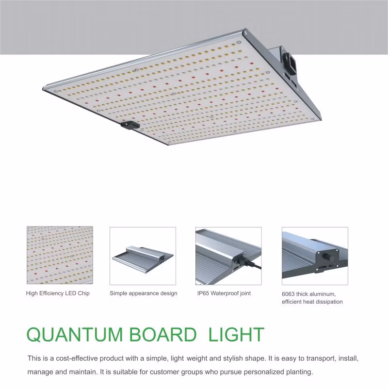 Patent Indoor Plant Grow Light 281b LED Quantum Board 120W 240W