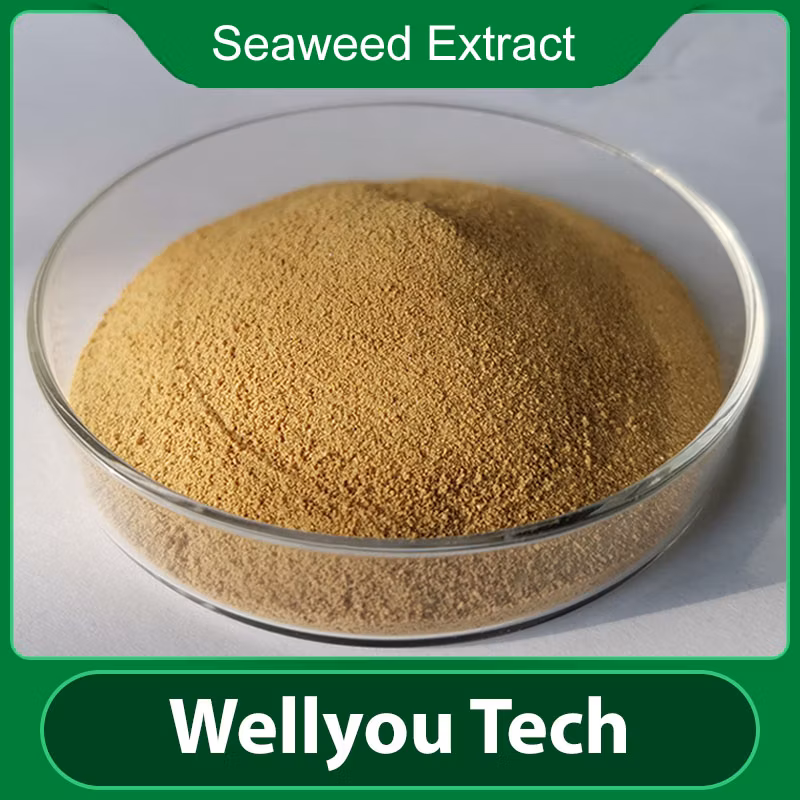 Wellyou Tech Seaweed Extract with 100% Water Soluble, Plant Biostimulant