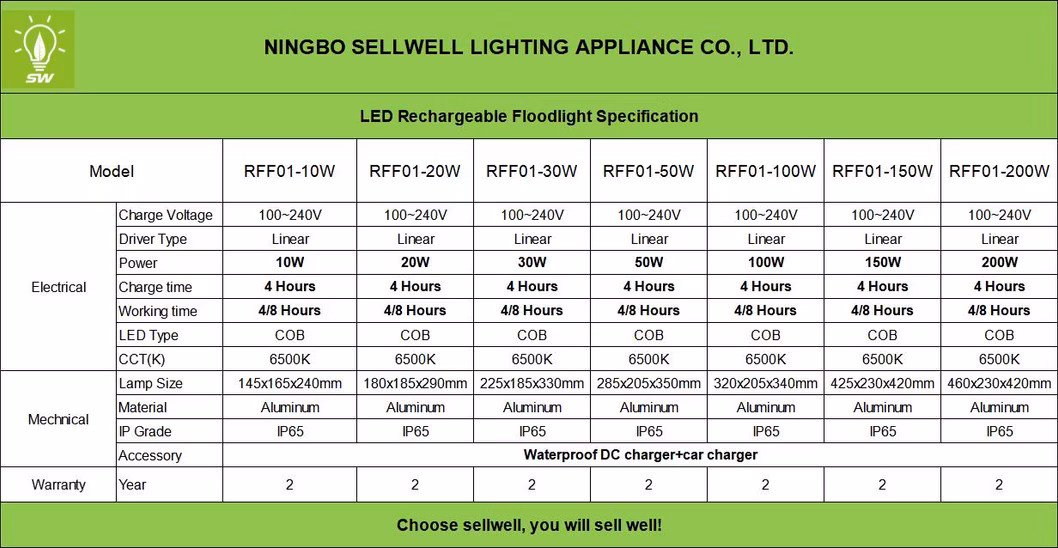 Linear 100-240V 10W 20W 30W 50W 100W 150W 200W 4-Hours Charge Time IP65 Work Light 6500K LED COB Flood Light Lamp with Waterproof DC Charger+Car Charger