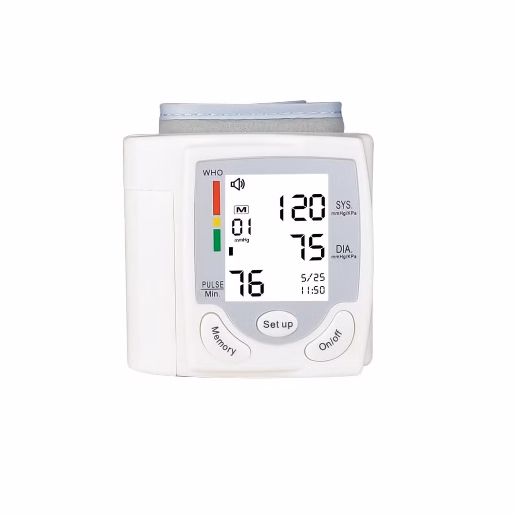 High Quality High Precision Sphygmomanometer 101s-2