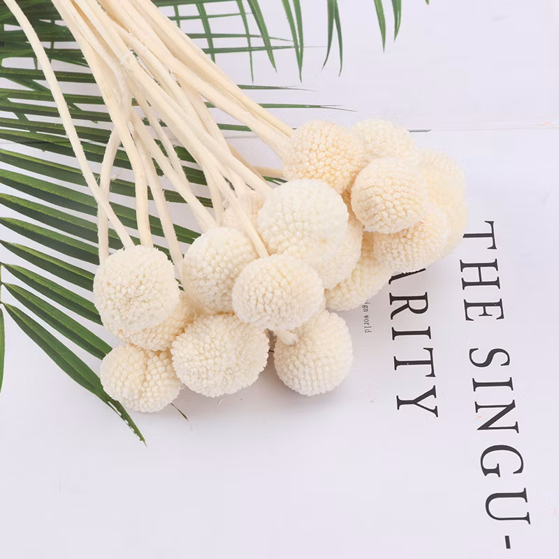 Customized Color Dandelion Ball Plant Furniture Decoration Theme Flower Shop Preserved Rose