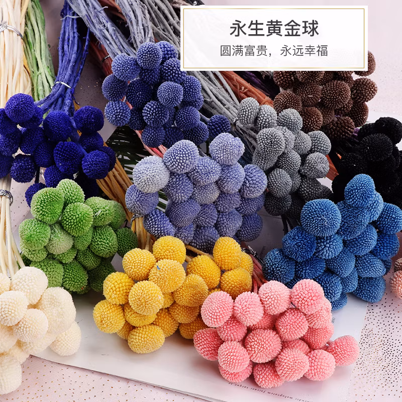 Customized Color Dandelion Ball Plant Furniture Decoration Theme Flower Shop Preserved Rose