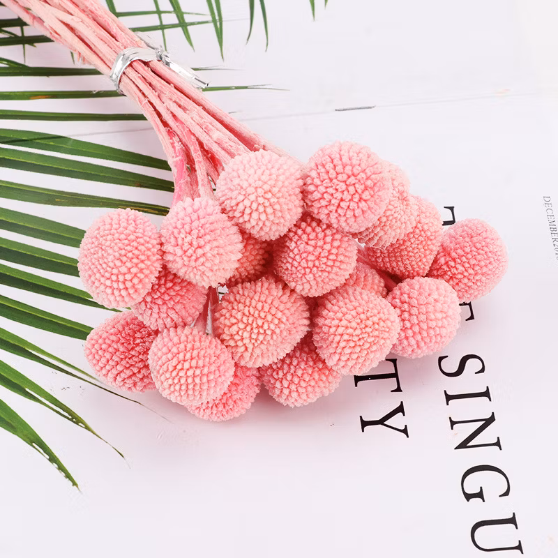 Customized Color Dandelion Ball Plant Furniture Decoration Theme Flower Shop Preserved Rose