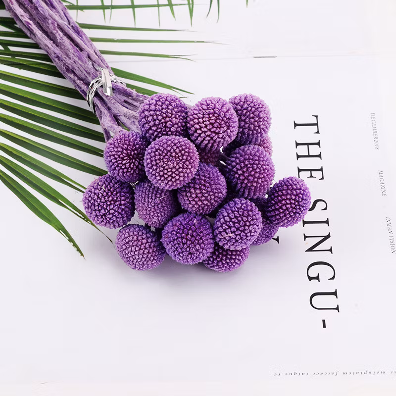 Customized Color Dandelion Ball Plant Furniture Decoration Theme Flower Shop Preserved Rose