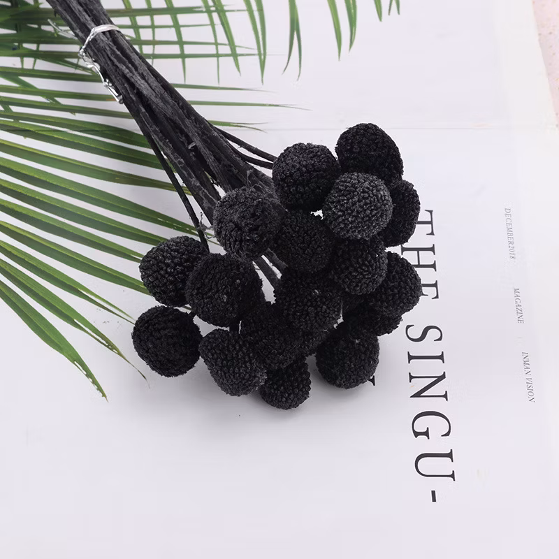 Customized Color Dandelion Ball Plant Furniture Decoration Theme Flower Shop Preserved Rose