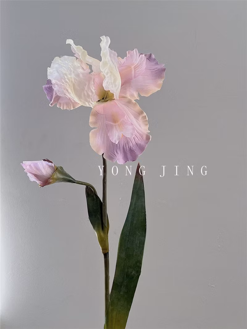 Ja230056 Decorative Fleur-De-Lis High Quality Artificial Flowers Iris Silk Flower Vintage Color for Wedding Home Garden Decoration Gift