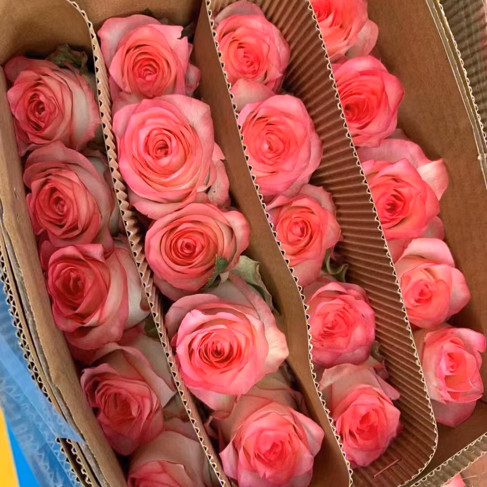 Factory Supplyreal Touch Flowerlong Stem Fresh Cut Roses
