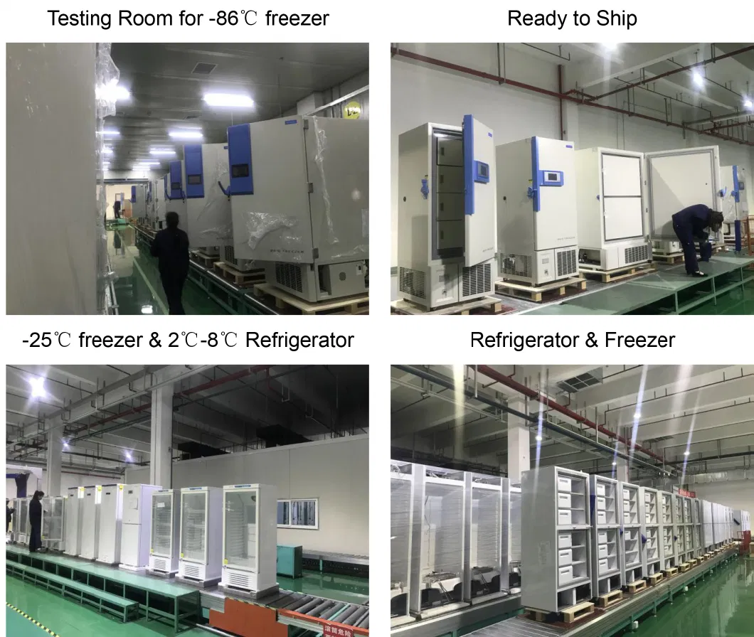 Touch Screen Ultra Low Temperature Freezer for Biological Engineering