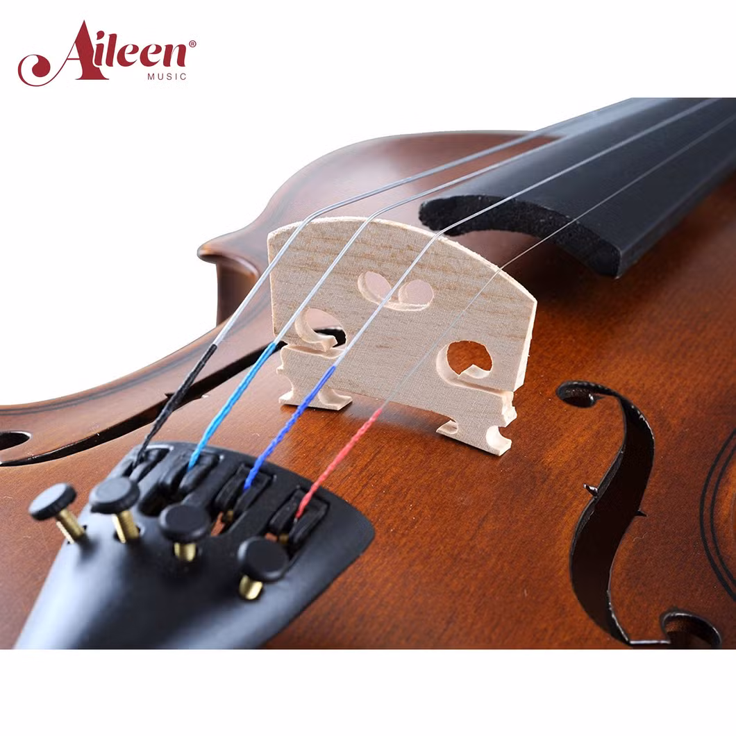 4/4 China Factory Wholesale Professional Beginners Student Violin (VG001-HPM)