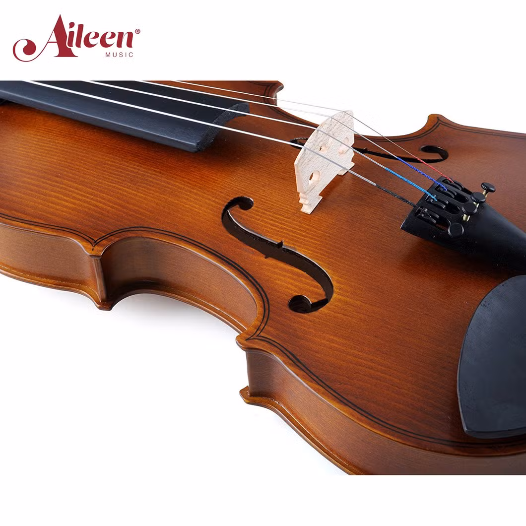 4/4 China Factory Wholesale Professional Beginners Student Violin (VG001-HPM)