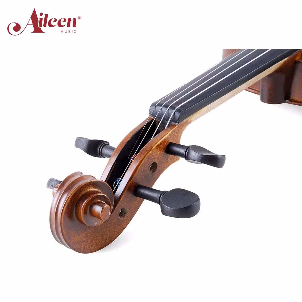 4/4 China Factory Wholesale Professional Beginners Student Violin (VG001-HPM)