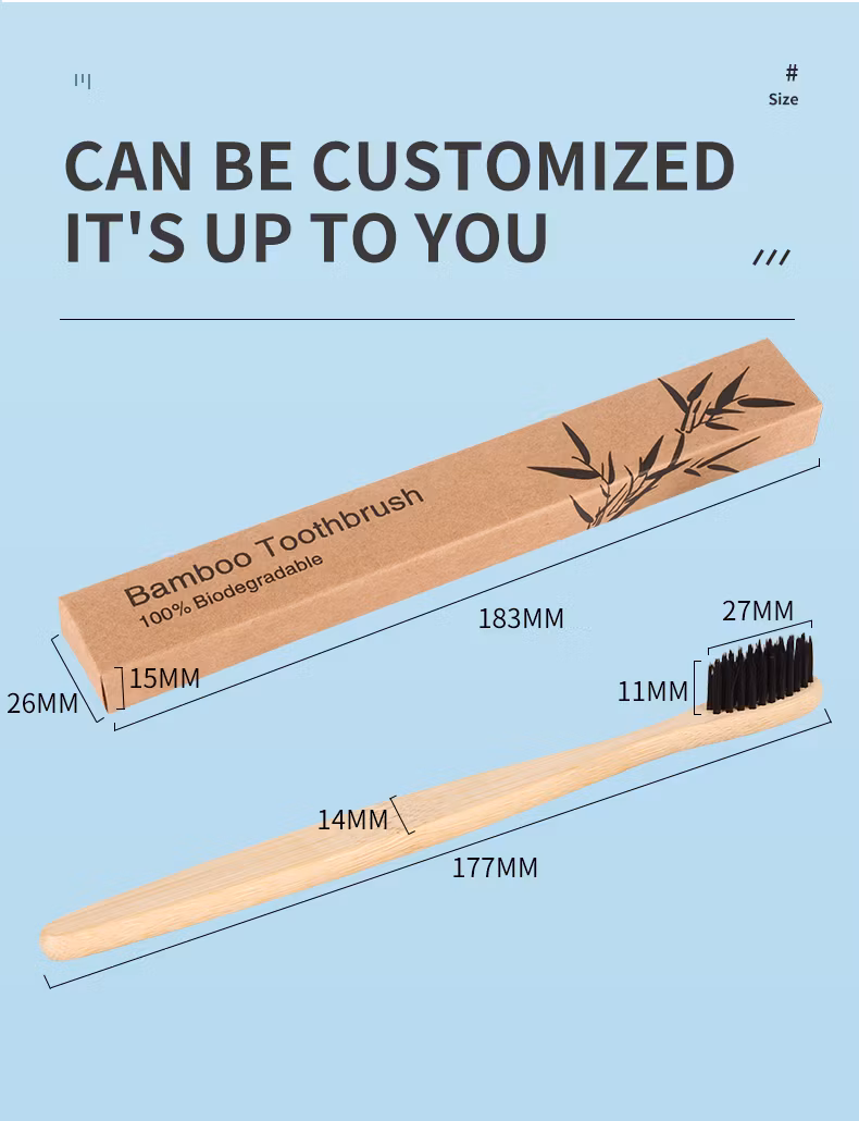 Bamboo Toothbrush Cases Eco Friendly 100% Biodegradable Bamboo Travel Case Manufacture