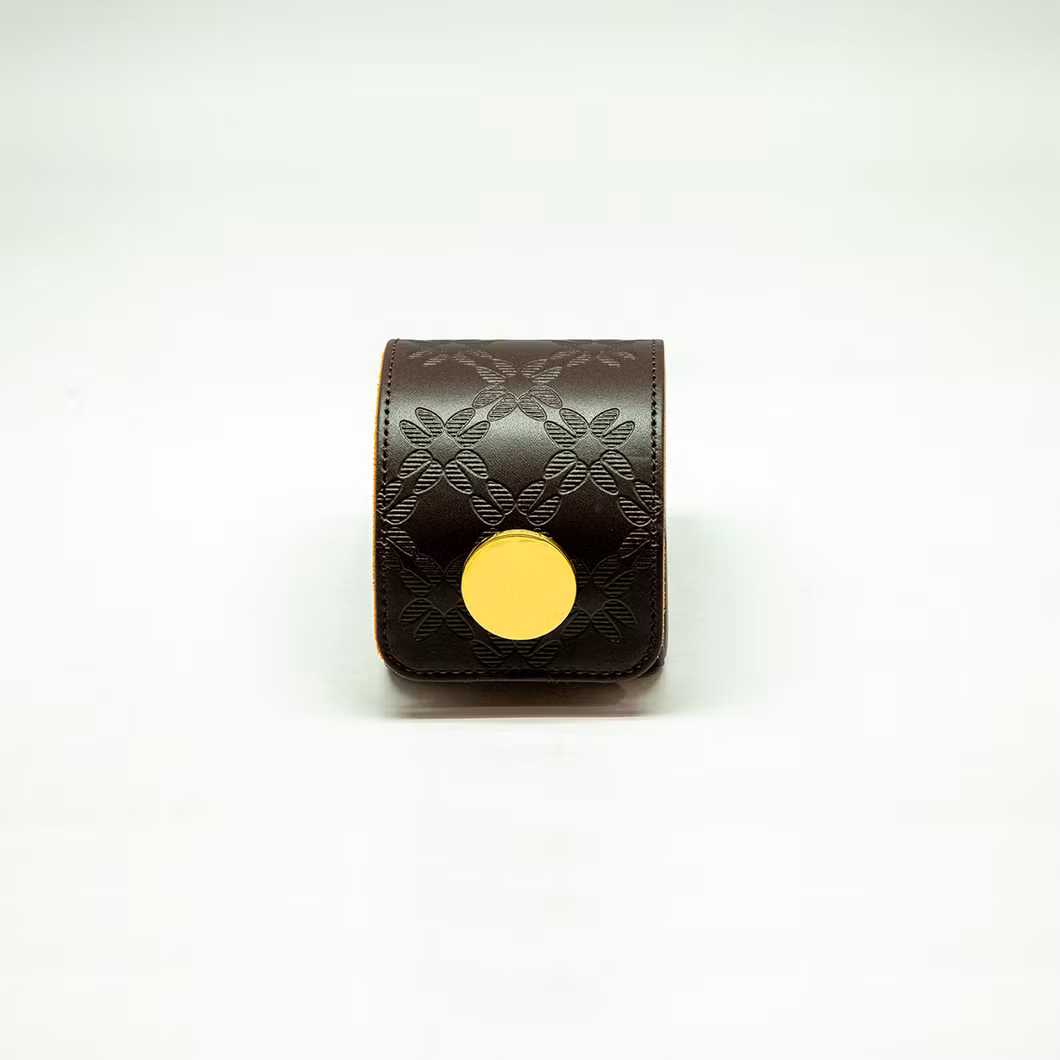 Elegant Leather Watch Storage Case with Gold-Plated Lock