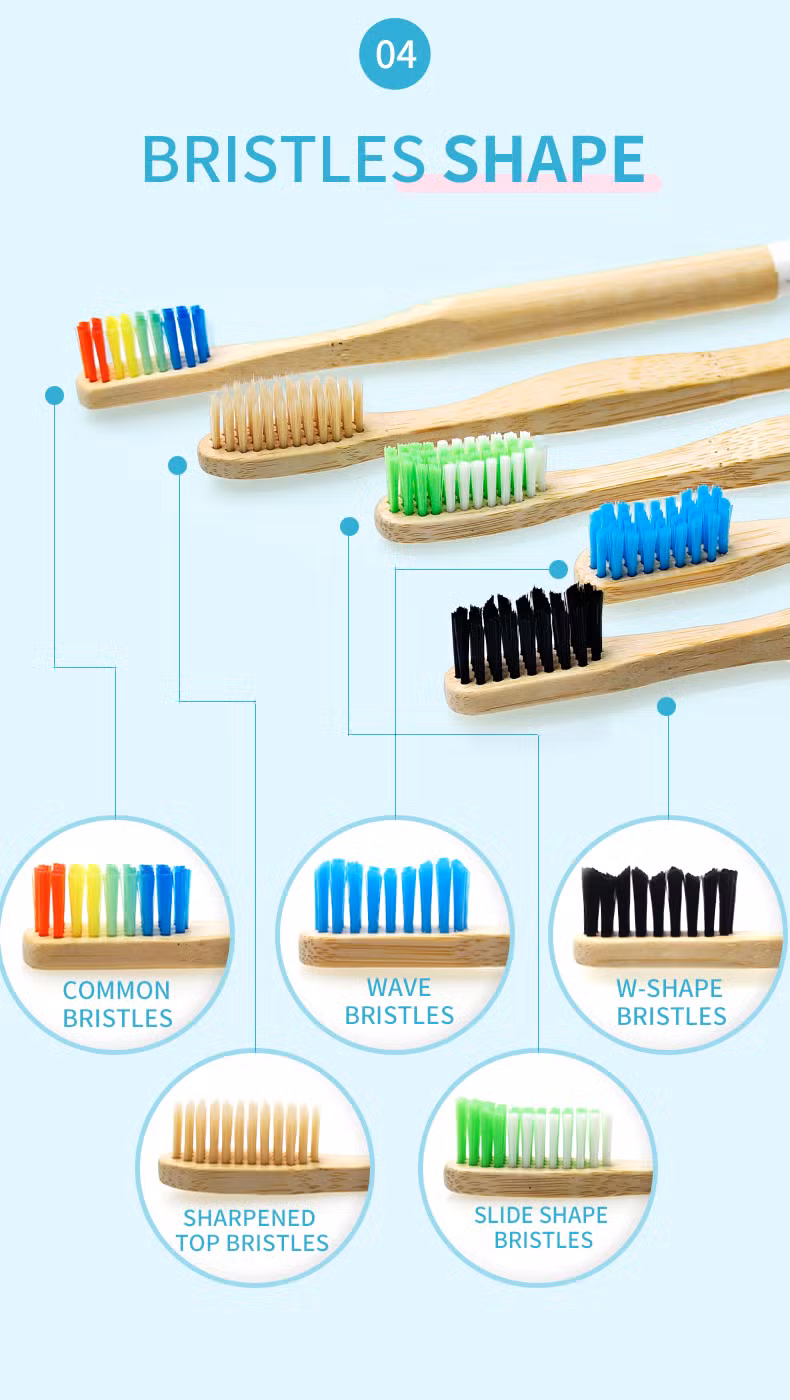 Bamboo Toothbrush Cases Eco Friendly 100% Biodegradable Bamboo Travel Case Manufacture