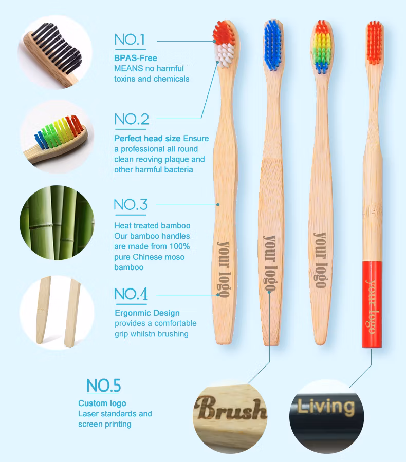 Bamboo Toothbrush Cases Eco Friendly 100% Biodegradable Bamboo Travel Case Manufacture
