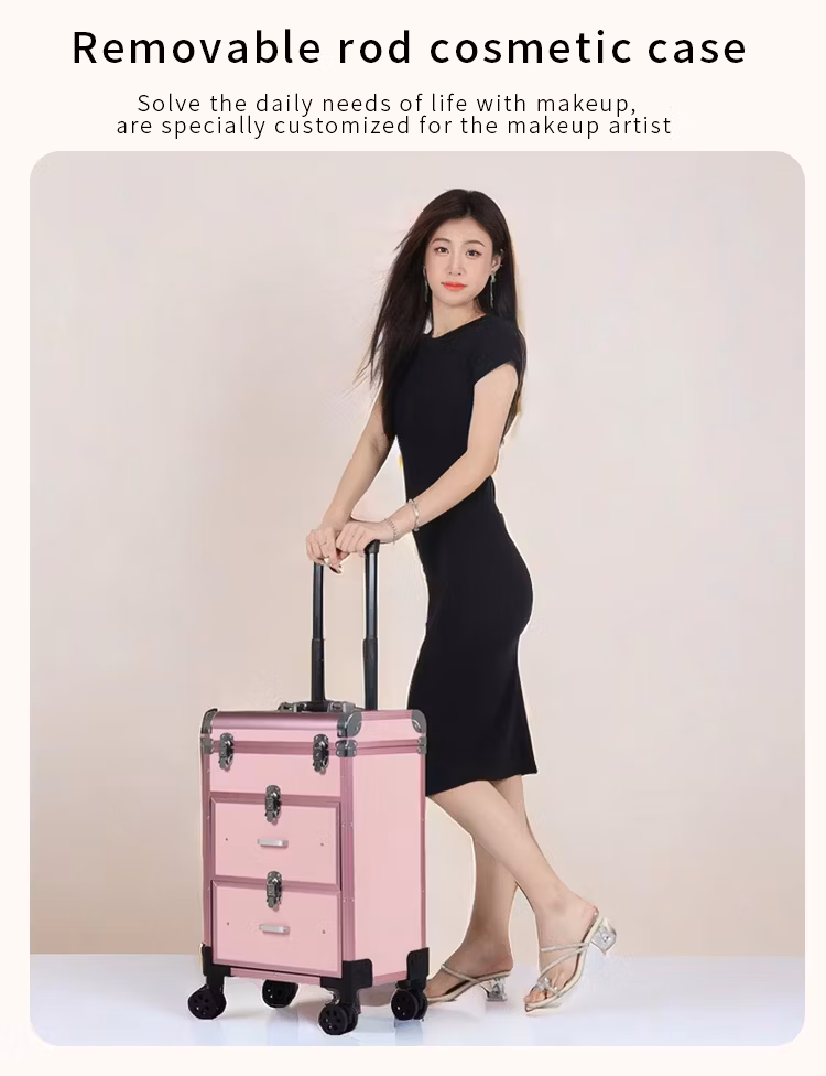 Factory Direct Commercial Elegant Lattice Structure Makeup Trolley Case with Smooth Universal Wheel