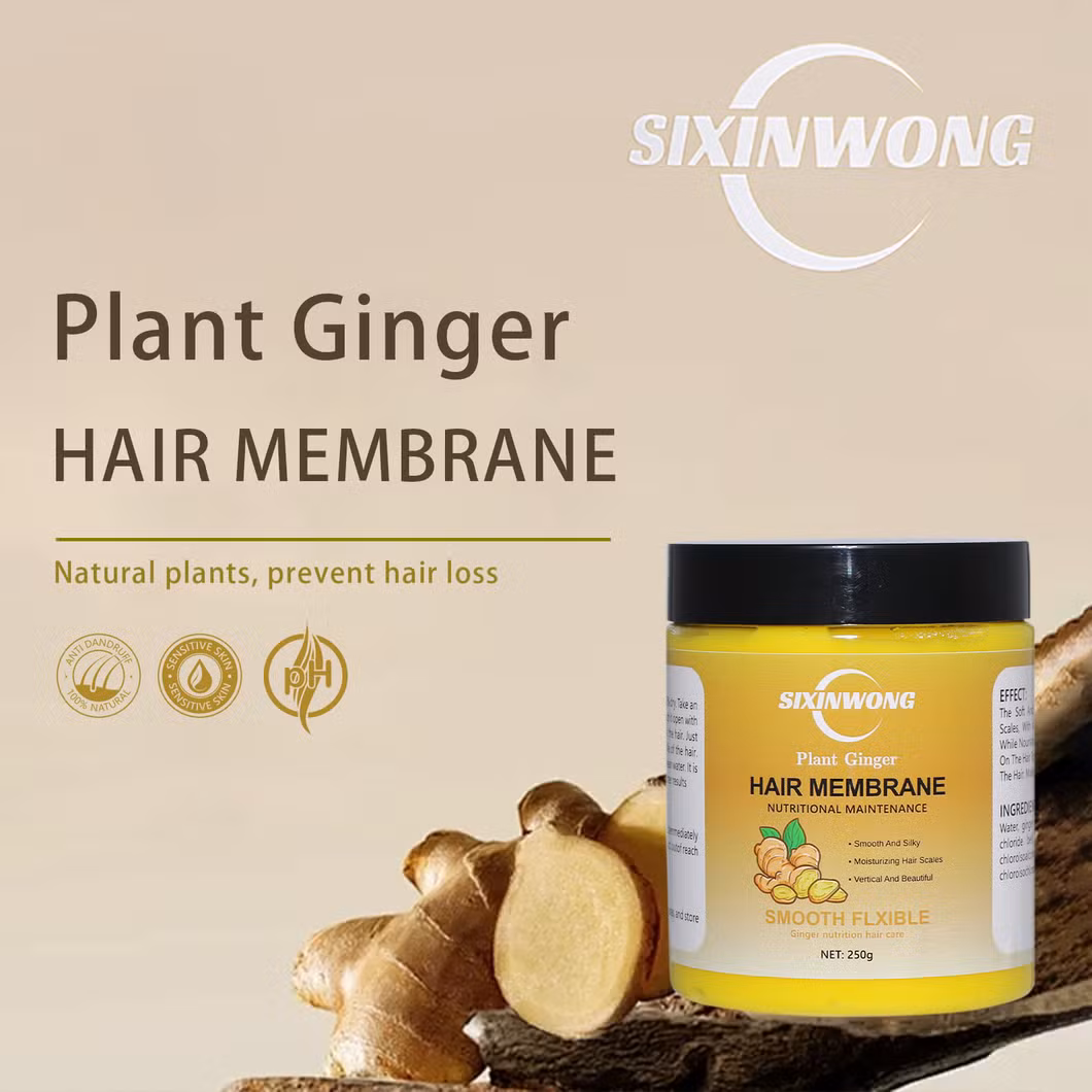 Beauty Cosmetics Hair Care Ginger Repair Roots Prevent Split Ends Hair Membrane