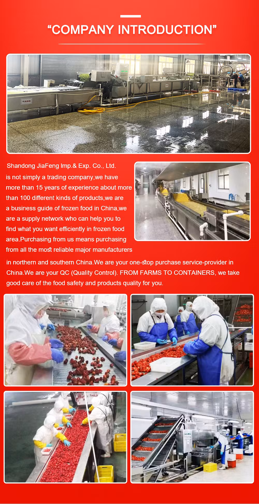 Bulk IQF Strawberries Brokens Sweet Charlie Variety Manufacturer - Reliable Wholesale Distributor