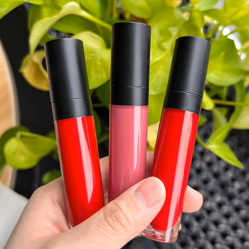 OEM/ODM Lip Gloss Cosmetics Factory Matte Finish Private Label
