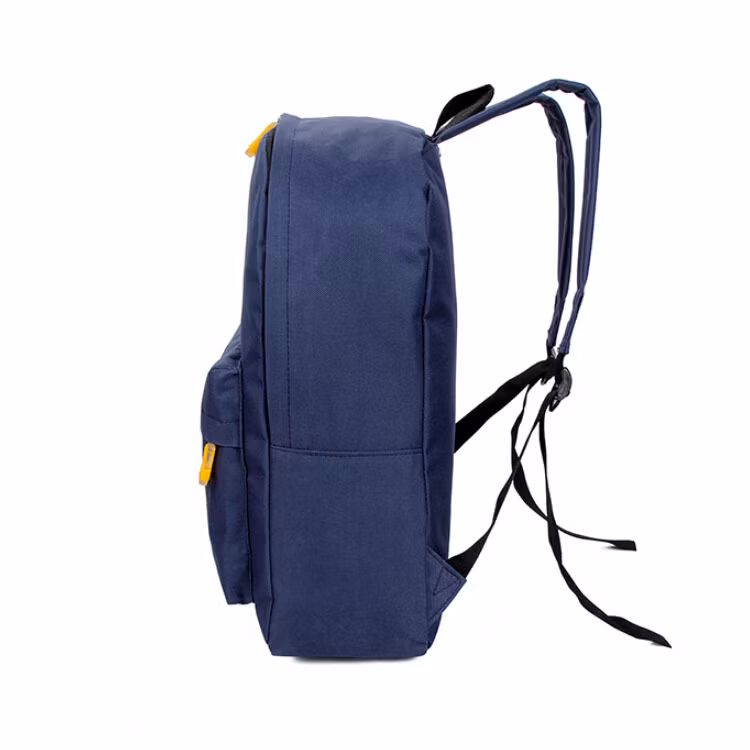 Fashion Preppy Style Life Color New Design Backpacks Sh-16010502