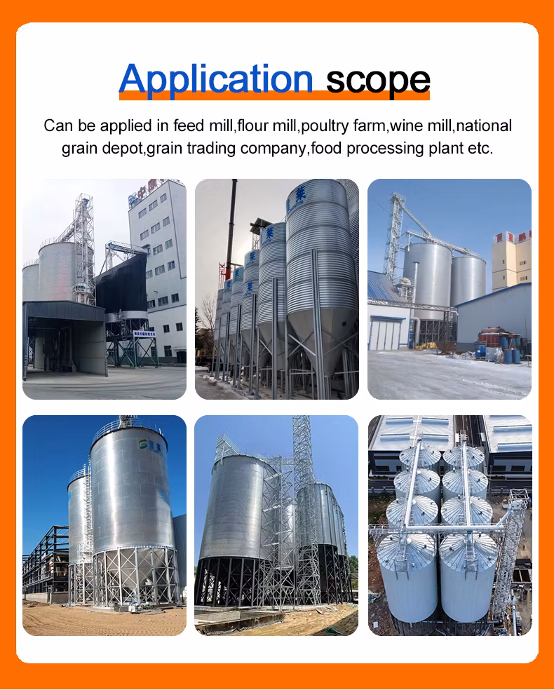 Factory Outlet Large Capacity Galvanized Steel Multi-Type Chicken Farm Pig Farm Livestock Farm Feed Silowith Reasonable Price. 500ton Hopper Bottom Grain Silo