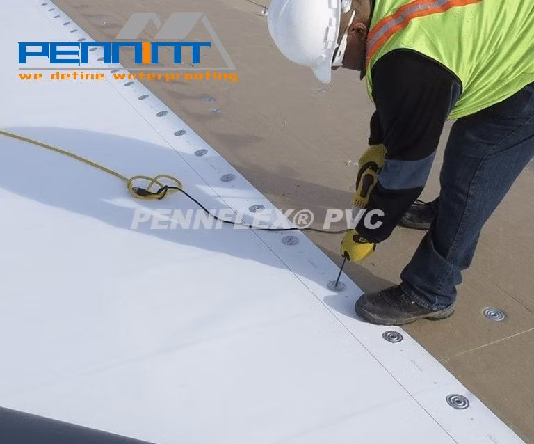 Roofing Material Plastic PVC Waterproofing Membrane for Tunnel/Basement