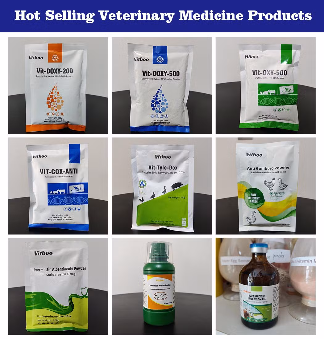 Private Label Chick Gumboro Treatment Powder Poultry Bursitis Medicine Herbs Prevention Bursa