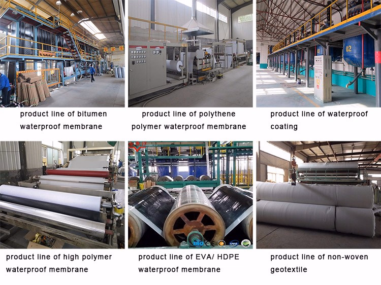 Mineral Granule Sbs APP Modified Asphalt Roofing Torch Rolls Bitumen Waterproofing Membrane Wholesale with Low Price