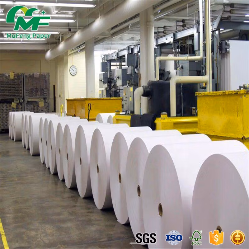 Extra Whiteness Promotional High Quality Durable Using 80mm 57mm Cashier Roll Receipt Thermal Paper