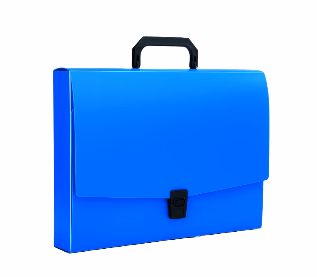 New Pattern A4 Portable PP Buckle Document Case for Office