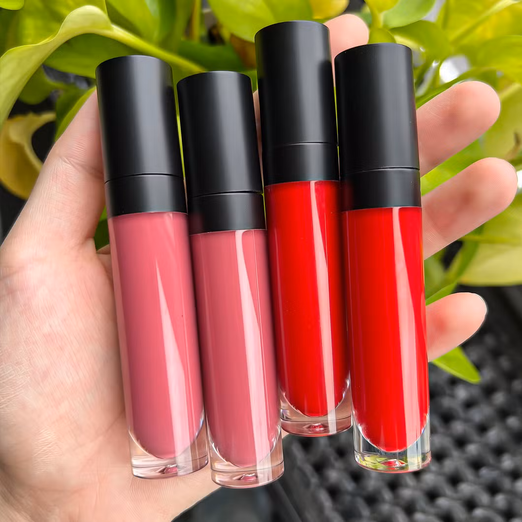 OEM/ODM Lip Gloss Cosmetics Factory Matte Finish Private Label